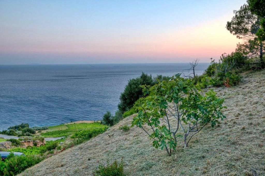 Getaway Caric Vakantiehuis